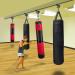 Dolibest Heavy Bag Mount I Beam Hanger | Punching Bag Bracket with Swivel Hook for Boxing Bag - Buy Online on GoSupps.com
