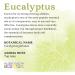 Aura Cacia 100% Pure Eucalyptus Essential Oil - GCMS Tested, 7.4 ml with Uses Insert - Buy Online on GoSupps.com
