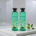  WJnflQN Hair Color for Women - 260 ml with Plant Oil Natural Shine Repair Cream | Pack of 2 Professional Hair Color Bottles Gray Hair Coverage for Adults - Buy Online on GoSupps.com