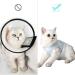 Dotoner Cat Recovery Suit - Surgical Shirt for Abdominal Wounds & E-Collar Alternative - S White Blue Stripes - Buy Online on GoSupps.com