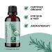 Certified Organic Rosemary & Moringa Oils - USDA Essential Oil for Hair, Skin & Nails - Aromatherapy with Cold Pressed Virgin Moringa Oil - Buy Online on GoSupps.com