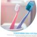 Buy Tovinanna 90-Piece Portable Toothbrush Dust Protection Covers - Practical & Stylish Toothbrush Caps for Travel - Buy Online on GoSupps.com