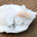 Crystal Rough Specimen Healed 50g-300g Natural Raw Crystals Apophyllite Stone Cluster Rough Stone Specimen Crystal Zeolite for Home Decoration 1pcs As a Gift (Size : 130-160g) - Buy Online on GoSupps.com