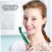 Shop Tovinanna 3-Piece Double-Headed Toothbrush for Prosthesis Care | Effective Cleaner for False Teeth - Buy Online on GoSupps.com
