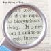 20 Times Old Children's Reading HD Maintenance Identification High-Power Optical Glass Hand-held Magnifier with Lamp Made in China - Buy Online on GoSupps.com