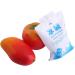 Reusable Gel Ice Bags for Shipping | 10pcs Cooling Packs | Keep Food Fresh | 200ml Each | Ideal for Ice Cream & More - Buy Online on GoSupps.com