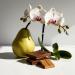 DIVAIN-663 - Inspired by Jinny Coo - Perfume Impression for Woman - Chypre Fragrance - Buy Online on GoSupps.com