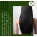 Organic Indigo Powder 8 oz | Black Henna Hair Dye | Indigofera Tinctoria | Ideal for Dark Hair | Includes FREE Gloves & Head Cap - Buy Online on GoSupps.com