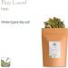 Organic Bay Leaf - Whole Culinary Quality - 50g | Premium Laurel Herb - Buy Online on GoSupps.com