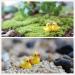 NA 40PCS Miniature yellow ducks micro-landscape scenery aquarium decoration moss bonsai flower pot decorative - Buy Online on GoSupps.com