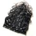 Kytxqikd Water Wave Clips in Hair Extensions Hair Natural Color Hair Wig Clip 10Inch - Buy Online on GoSupps.com
