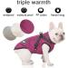 Luowan Waterproof Dog Coat for French Bulldogs | Warm Vest & Dog Jacket for Small Dogs | Available in Various Sizes (M Purple) - Buy Online on GoSupps.com