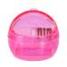 Nail Art Drill Bit Cleaning Brush Box - Dual Clean Metal & Plastic Brushes for Portable Manicure Tool - Buy Online on GoSupps.com