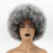 Smoky Gray Short Afro Wig for Black Women - Unisex Large Bouncy Kinky Curly Synthetic Wig - Buy Online on GoSupps.com