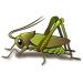 Urinal Fly Toilet Stickers 12 Pack - Grasshopper, Hornet, Beetle, Spider - 80% Cleaner Bathrooms in Minutes - Buy Online on GoSupps.com
