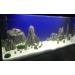 Wyskont Slate Stones - Natural Aquarium & Terrarium Decoration - 1kg Wooden Look Stones & Cave - Premium Aquascaping Accessories - Buy Online on GoSupps.com