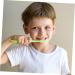 TOVINANNA 32 STK Small Krokodil Toothbrush - Fun Crocodile Design for Toddlers & Children | Kids' Cleaning Brush for Healthy Smiles - Buy Online on GoSupps.com