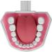Vomeko Tooth Brushing Practice Model for Kids - Ideal Training Set with Brush - International Shipping Available - Buy Online on GoSupps.com