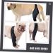 Abaodam Comfy Elbow Protector Dog Leg Braces for Foreleg Knee Pads Supplies Puppy M As Shown - Buy Online on GoSupps.com