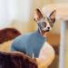 Shop Hjyokuso Sphynx Cat Clothing - Breathable & Soft Sweaters for Sphynx Cornish Rex & Devon Rex | Warm Catwear in XXL Blue - Buy Online on GoSupps.com