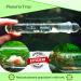 Crystal Red Shrimp Tank Planaria Trap - Bristle Worm Catcher for Cherry Shrimp, Dwarf Shrimp & Ghost Shrimp - Freshwater Cleaning Supplies - Buy Online on GoSupps.com