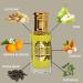 INTENSE OUD Now Girl Perfume Oil 12ML (0.40 OZ) With Black Gift Box A Fresh Blend Of Pistachio & Pear Gives Way To A Creamy Floral Heart & A Nutty Base. - Buy Online on GoSupps.com