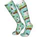 Bernhardiner Dog Pattern Cactus Compression Socks for Men & Women - 15-20 mmHg Circulation Support for Running & Cycling - Buy Online on GoSupps.com