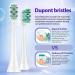 NEDIFON Replacement Toothbrush Heads for Philips Sonicare - Pack of 8 Medium to Soft Electric Brush Head Refills for DiamondClean, ProtectiveClean, EasyClean 4100, 5100, 6100 HX6250 - Buy Online on GoSupps.com