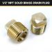2 Pack 1/2 Inch NPT Solid Brass Boat Drain Plugs - Garboard Drain Plug for Most Boat Hulls - Buy Online on GoSupps.com