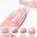 Ysuvin Nail Tips - 240 Pieces Transparent Fake Nails (12 Sizes) for Technicians & Beginners | Short Ballerina & Medium Almond Artificial Nail Tips for Manicure Salons - Buy Online on GoSupps.com