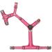 Buy DOG Copenhagen Comfort Walk Air 3.0 Dog Harness in Wild Rose - XL Size | International Shipping Available - Buy Online on GoSupps.com