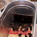 Cozy Products CL Cozy Safe Chicken Coop Heater 200 Watts Safer Than Brooder Lamps  One Size  Black - Buy Online on GoSupps.com