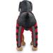 Dog Knee Brace Adjustable Dog Leg Brace Double Rear Leg Brace Elastic Shockproof Dog ACL Brace CCL Brace Hind Leg Pet Knee Pads with Reflective Strips for Pets and Dogs (S) Small - Buy Online on GoSupps.com
