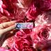 Extra White Chewing Gum Sugar Free Bubblemint Pack of 30 & White Chewing Gum Sugar Free Chewing Gum Bulk Box 6 Packs of 46 Pieces - Buy Online on GoSupps.com