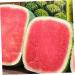 LIFKICH Watermelon Shaping Fruit Transparent Strawberry Forming Shaping Mould Vegetable Growth Mold Tool Square Watermelon 15x15cm Transparent - Buy Online on GoSupps.com
