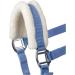 Halter with Plush Padding BASICLINE in Baby Blue for Shetty Pony Thoroughbred & Warmblood - 6 Colors Available | International Shipping - RL24 - Buy Online on GoSupps.com