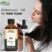 Buy Pure Olibanum (Boswellia Serrata) Oil - 30ml Essential Oil for Aromatherapy Skincare & Hair Care | Natural Frankincense Oil - International Shipping - Buy Online on GoSupps.com