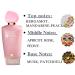 INTENSE OUD Allure Pour Femme EDP - 100 ML (3.4 oz) |BERGAMOT APRICOT ROSE PEONY MUSK &PATCHOULI Allure Pour Femme 3.4 Fl Oz (Pack of 1) - Buy Online on GoSupps.com