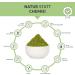 Organic Barley Grass Powder 100g | Pure German Cultivation | 100% Additive-Free (DE- KO-007) - Buy Online on GoSupps.com