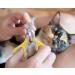 Claw Scissors for Cats - 25 Nail Clippers for Cats Small Dogs & Pets | Premium Cat Nail Cutter - Buy Online on GoSupps.com
