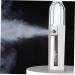 Ipetboom Portable Humidifer 1pc Mini Humidifier Mister Facial Spray Skin Moistener Beauty Instrument Charging Mode Extend 15.60X3.60X3.60CM - Buy Online on GoSupps.com