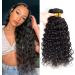 Water Wave Bundles Brazilian Virgin Human Hair Wet and Wavy Remy Human Hair Bundles Natural Color 100% Human Hair Extensions (Water 16 18 20 Water Wave 3 Bundles) Water 16 18 20 Water Wave 3 Bundel
