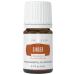 Young Living Ginger Vitality 5ml - Empowerment Aromatherapy & Culinary Essential Oil - 100% Pure Premium-Grade - Natural Flavor Enhancer for Spicing Up Your Recipes
