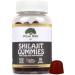 Wise Oak Shilajit Gummies 500mg - Chaga, Ashwagandha, B12, D2 Vitamins - Black Cherry Flavored Vegan Ayurvedic Supplement - Buy Online on GoSupps.com