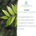Buy Pure Indonesian Tongkat Ali Powder - Pharmaceutical Grade Longjack Extract | Wild Harvested Eurycoma Longifolia (50g) - No Fillers Fast International Shipping - Buy Online on GoSupps.com