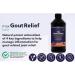 Maxion Gout Relief Liquid to Relieve Pain Manage Inflammation and Reduce Uric Acid Potent Antioxidant 450ml (1) - Buy Online on GoSupps.com