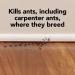 Raid Max Double Control Liquid Ant Killer Baits and Traps Kills Ants Where They Breed For Indoor Use Child Resistant 8 Bait Stations 1 Box - Buy Online on GoSupps.com