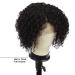 Blissource Short Kinky Curly Human Hair Wig 10 L Part Lace Front 150% Density Brazilian Hair - Natural Look for African American Women - Buy Online on GoSupps.com