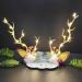 Clataly LED Christmas Hair Pins Simulation Tree Branch Hair Clips Light Up Flower Hairpin Hair Accessories for Women and Girls (Warm light A) - Buy Online on GoSupps.com