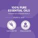 Oilogic Relax & Sleep Essential Oil Linen Spray - 100% Pure Essential Oils Promotes Restful Sleep Comfort & Wellness - Aromatherapy Mist for Beddings Pillows Blankets Pajamas & More 4 Oz - Buy Online on GoSupps.com